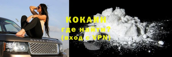индика Аркадак