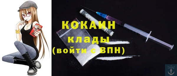 индика Аркадак