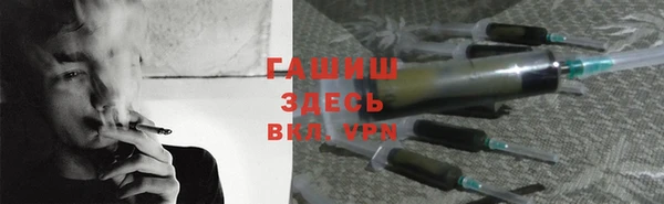 индика Аркадак
