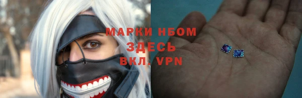 индика Аркадак