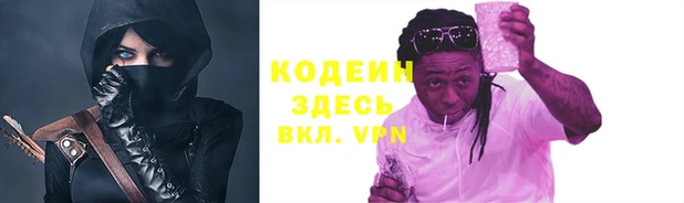 индика Аркадак