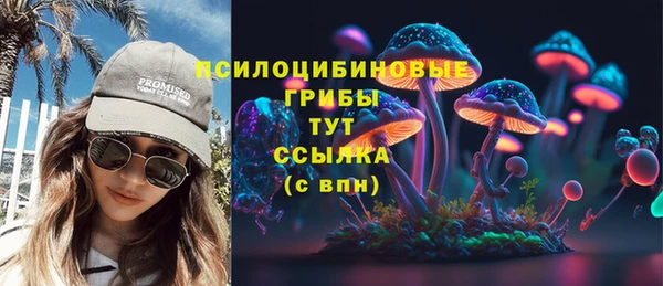 индика Аркадак