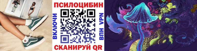 купить   Нововоронеж  Псилоцибиновые грибы прущие грибы 